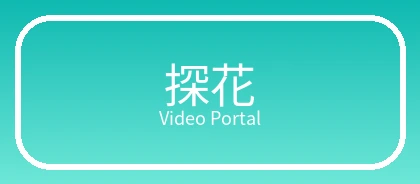 探花